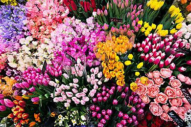 决战深空！《命运2》圣城杯PVP锦标赛赛事回顾